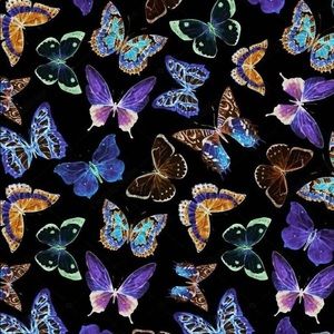 Meet your Posher, Alexandra